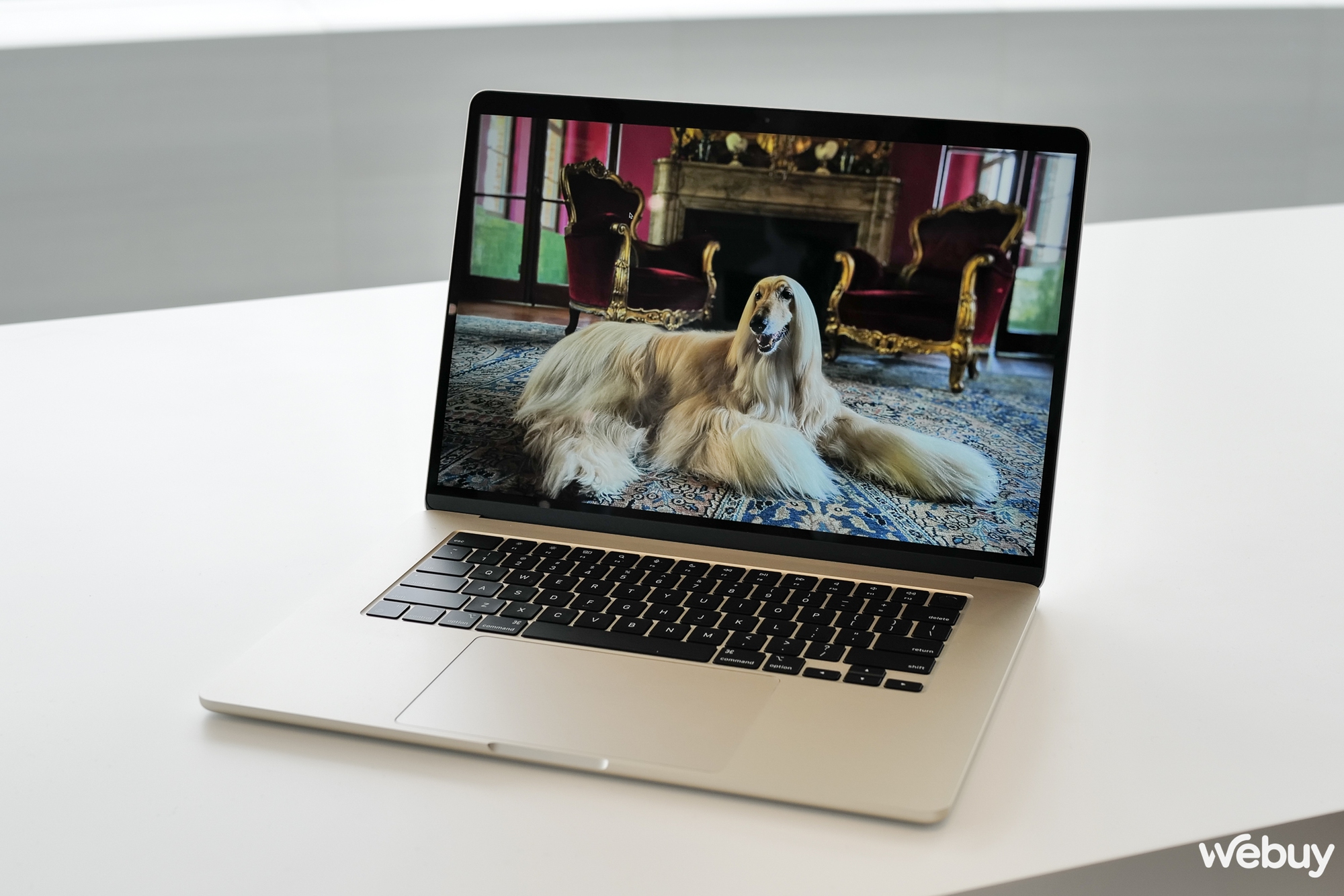 Ảnh thực tế chiếc MacBook 15
                      inch mỏng nhẹ nhất của Apple, giá chính hãng chỉ 32,99 triệu đồng - Ảnh 4.
